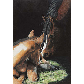 First Morning Light - Print