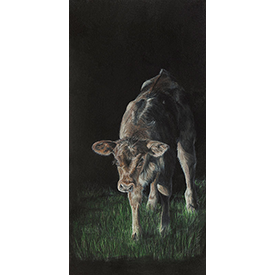 Concealed Identity - Print