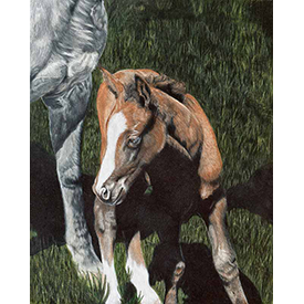 Tranquil Moment - Print